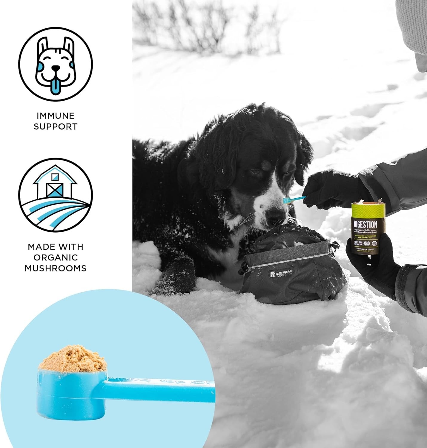 Dog Cat Vitamin Powder Supplement Immune Support Daily 2 Month