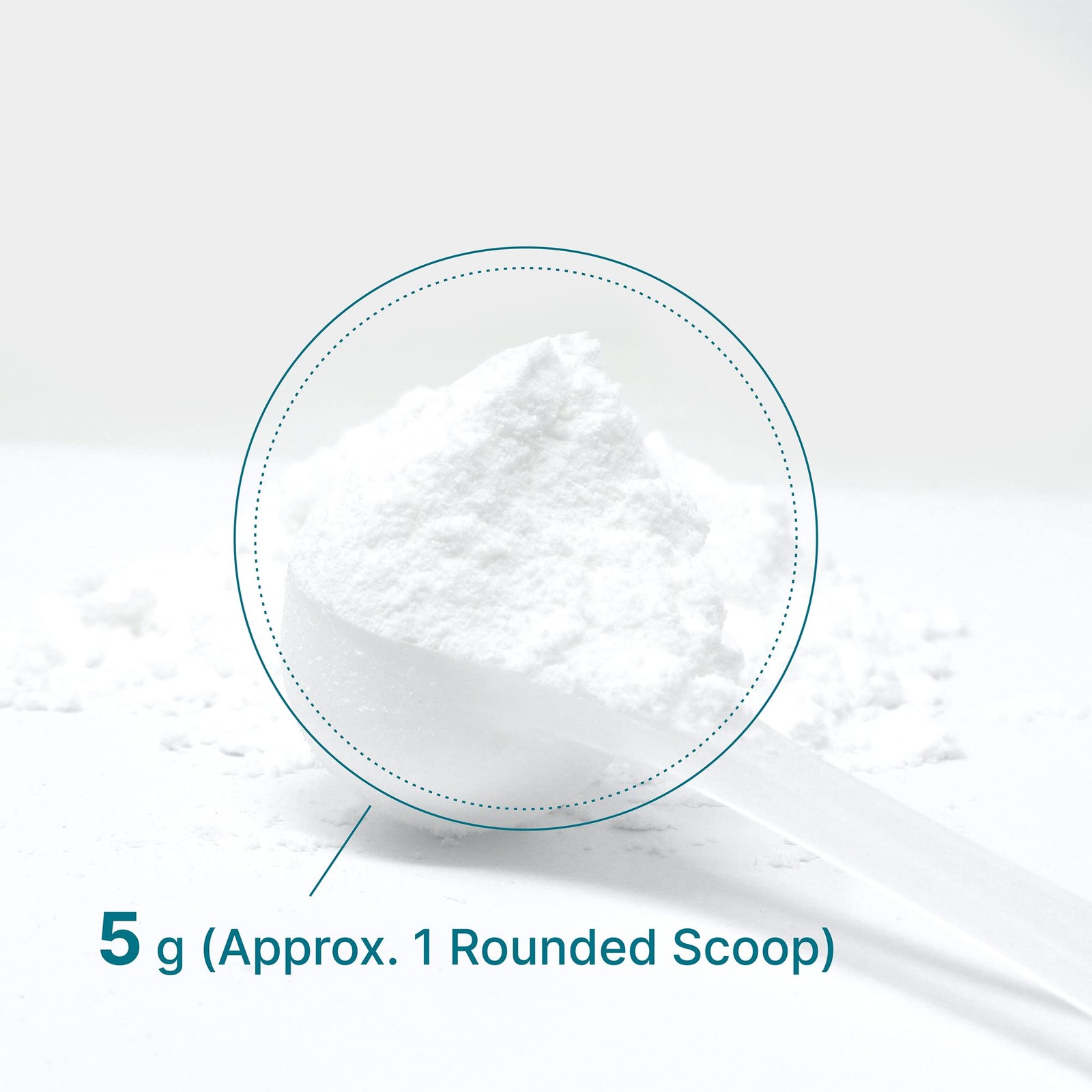 DEAL SUPPLEMENT Instant Creatine Monohydrate Powder, 10.6 Ounce (Pack of 1)