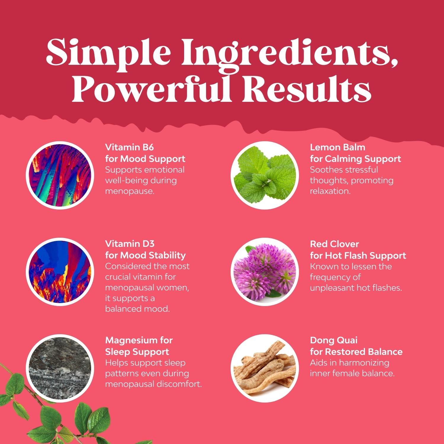 Complete Herbal Menopause Supplement for Women – Hormone Balance 90ct