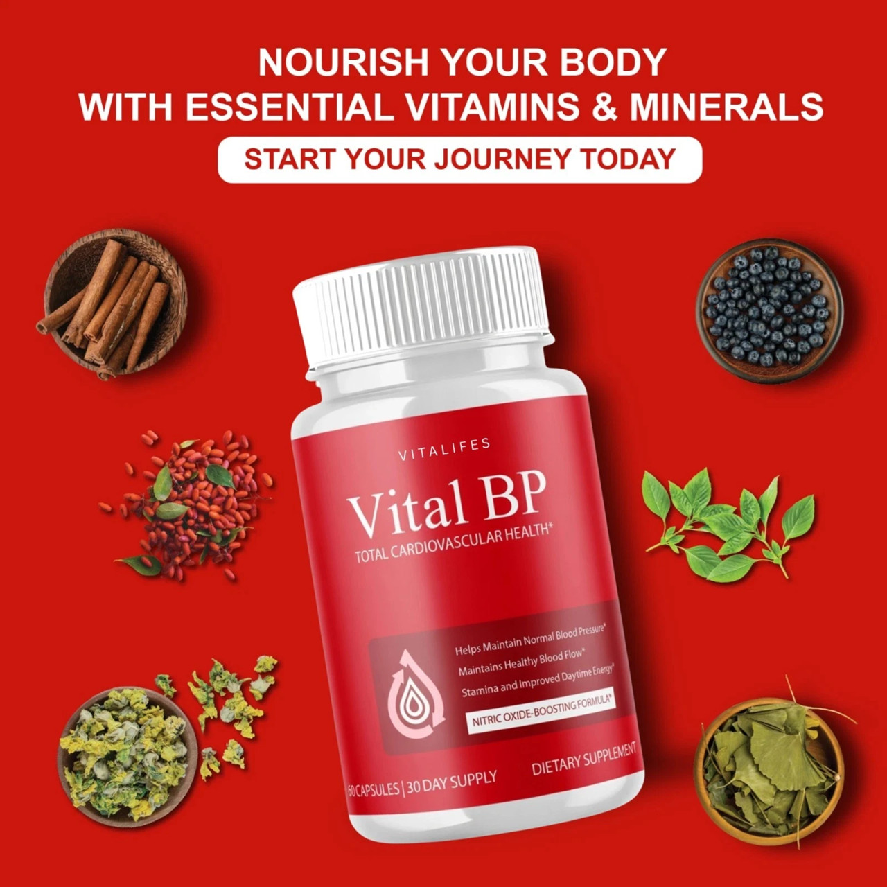 (2 Pack) Vital BP Advanced Blood Support Vitamin Formula VitalBP (60 Capsules)