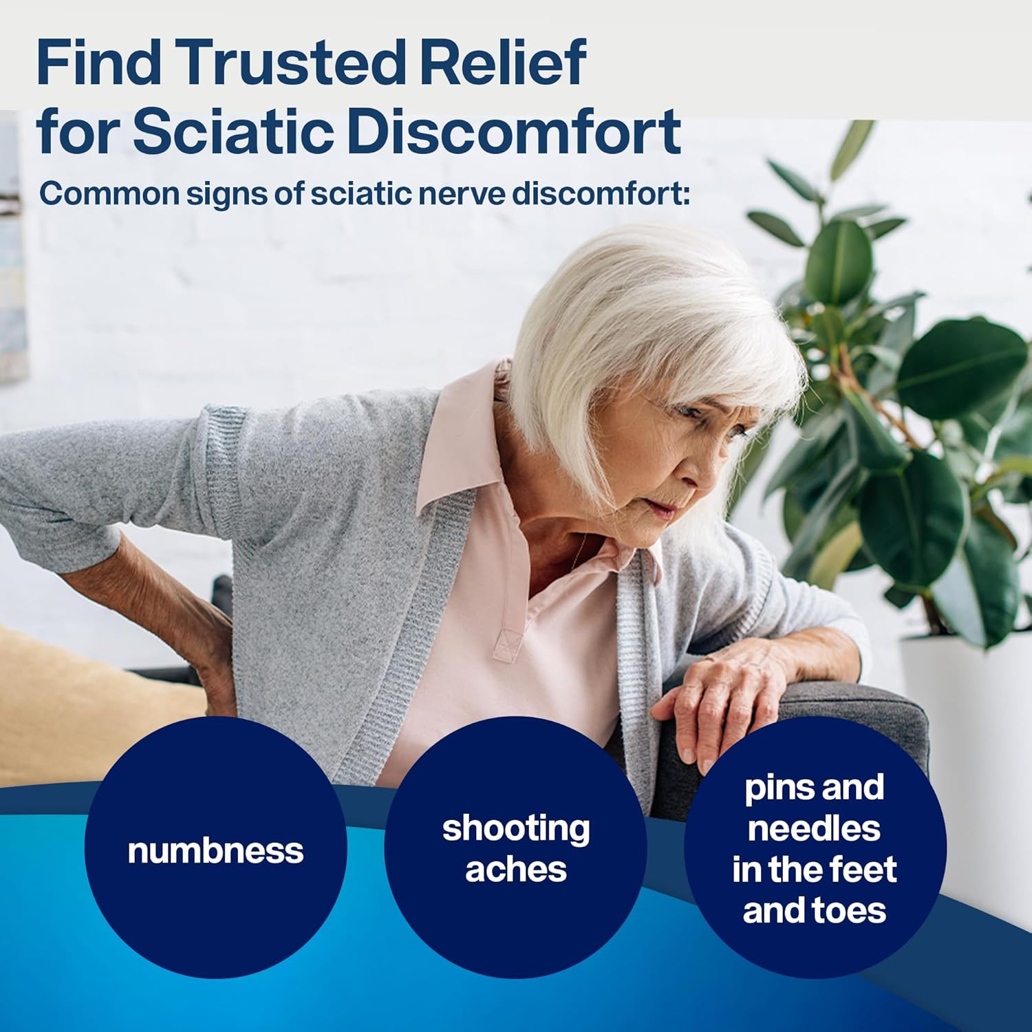 Sciatic Nerve Health Support Supplement – Nerve Support Formula with AlphaPalm