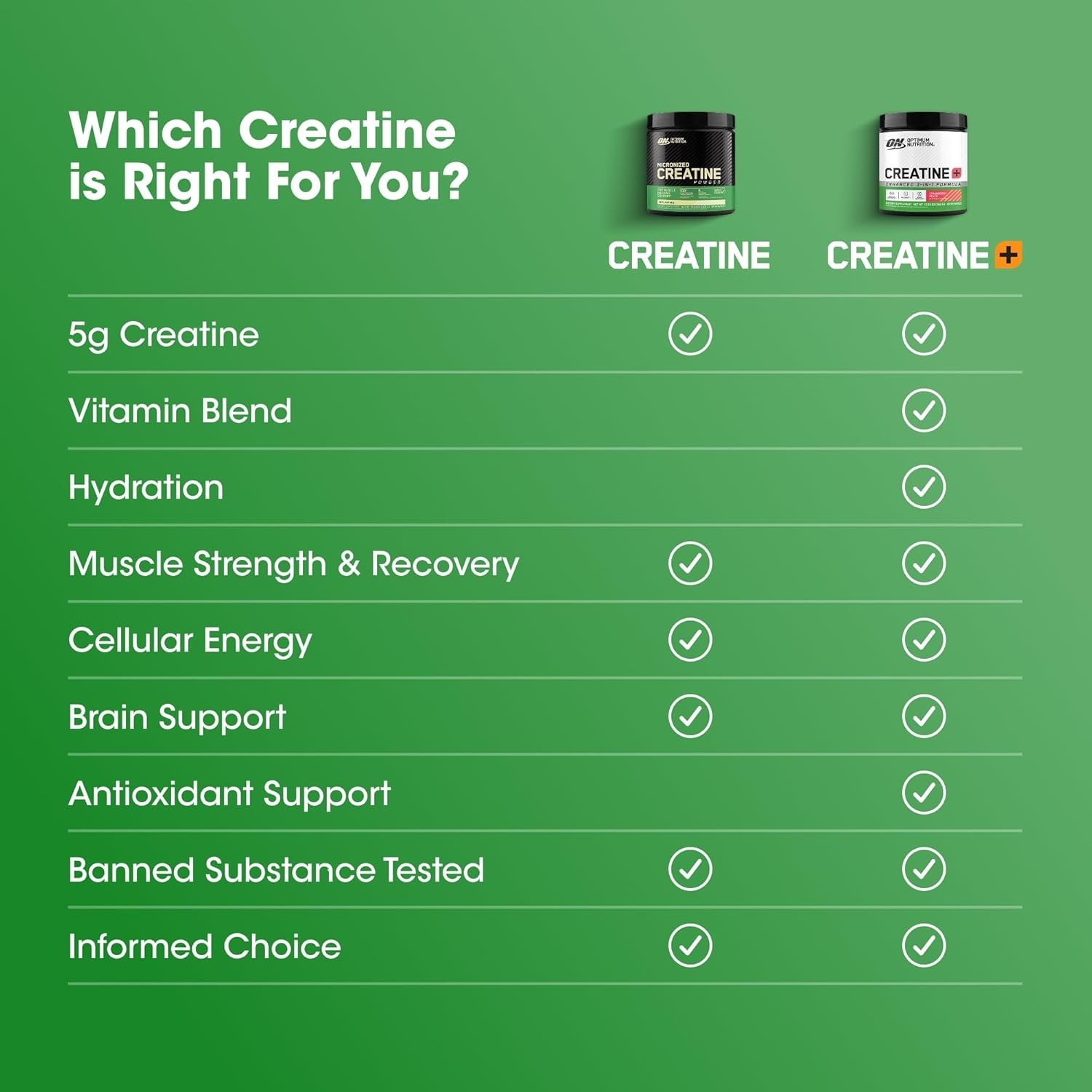 Creatine Monohydrate Plus Powder – Strawberry Peach Flavor, 360g Hydration Blend