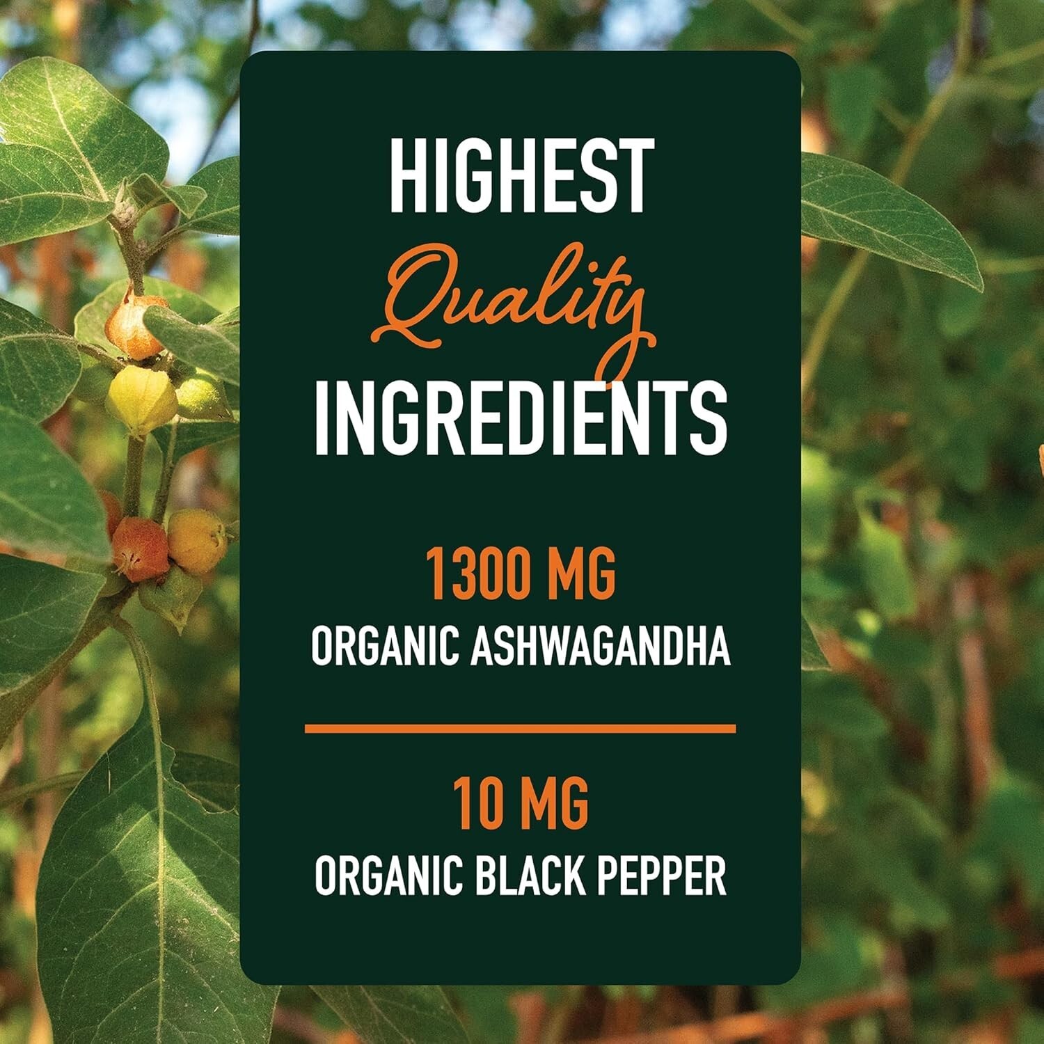 SM Nutrition Ashwagandha Supplement 1300mg Stress Resistance Energy Boost 120 ct