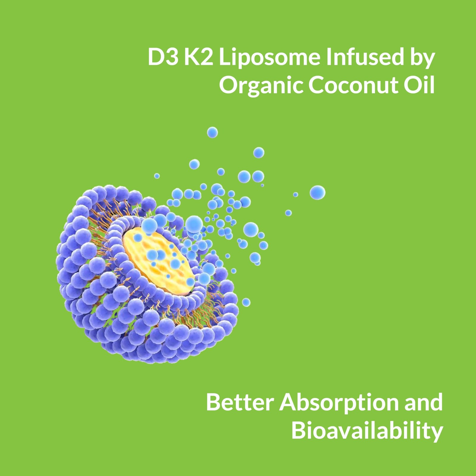 UpNourish Liposomal D3 K2 Vitamin 10000 IU D3 and K2 MK7 200 mcg 180 Vitamin…
