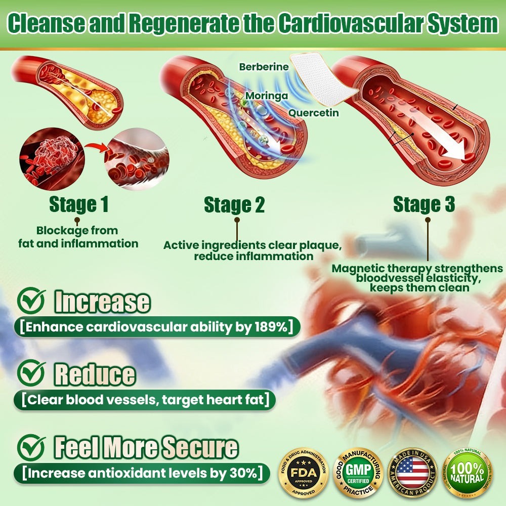 DR.HONOR Berberine X NAD+ 10-in-1 Nano Microneedle Patches for Weight