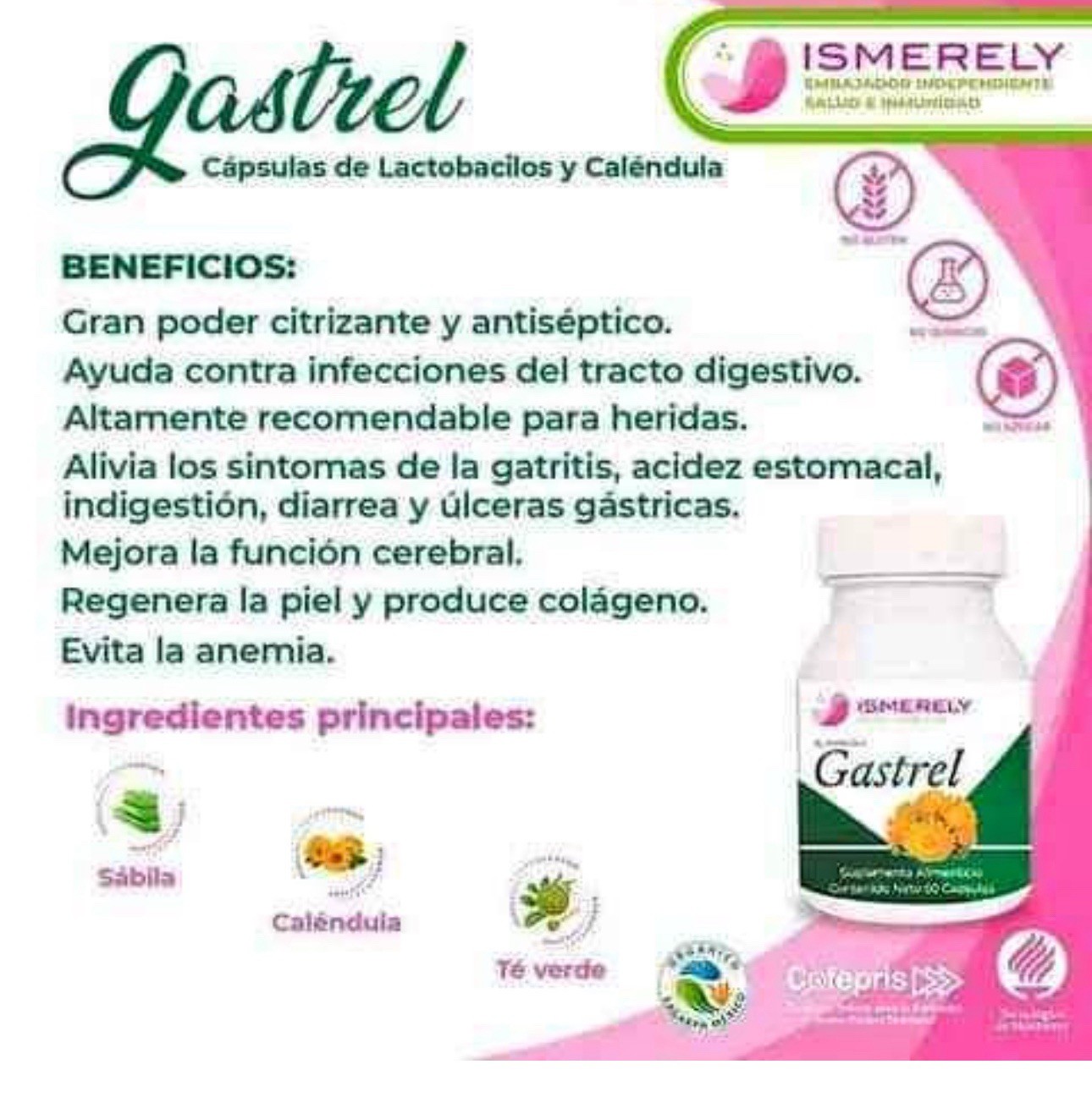 Ismerely My GS-Trel Suplemento para la GASTRITIS Estomago 60 capsulas Pack of 1