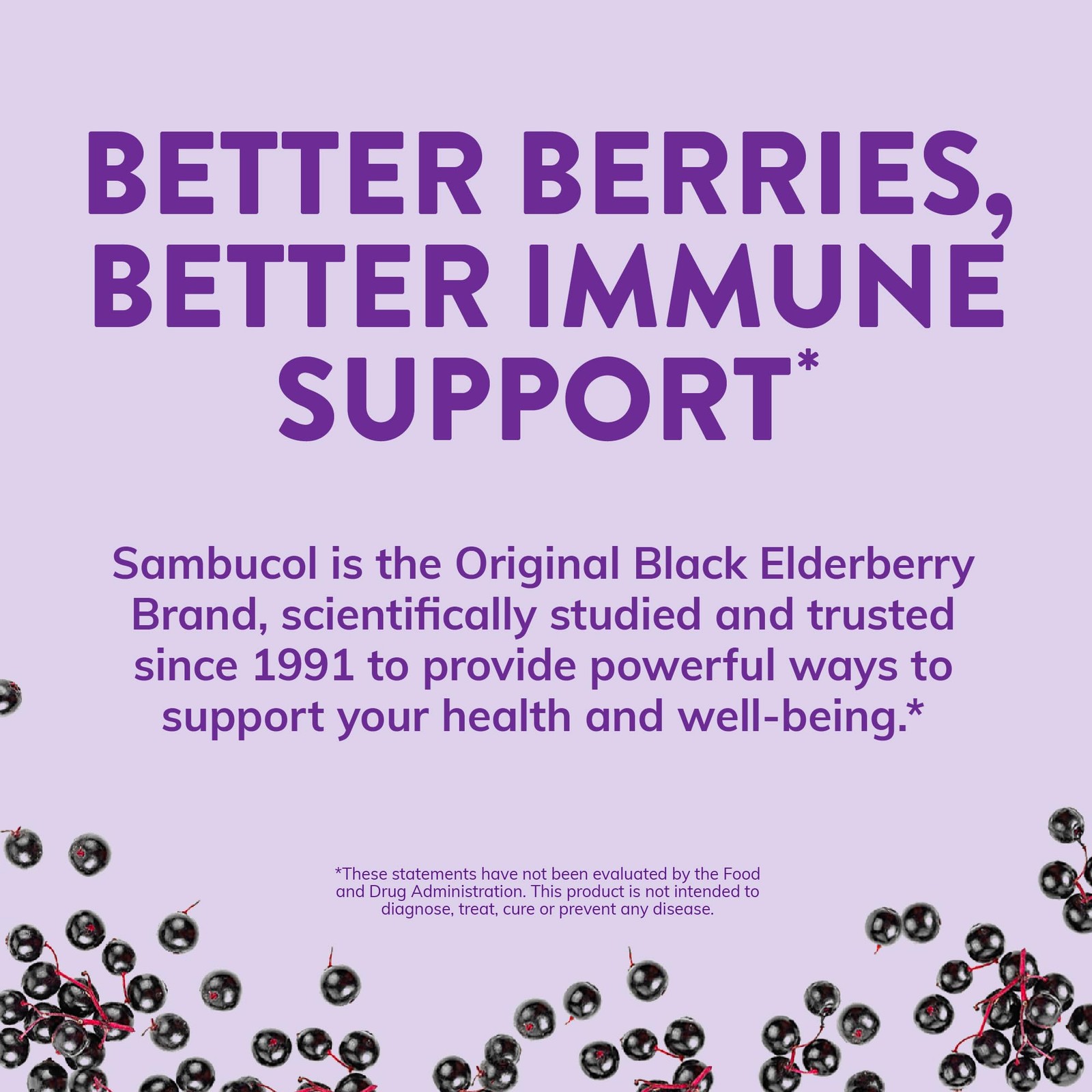Sambucol Black Elderberry Effervescent Tablets – 15 Count (Pack of 1)