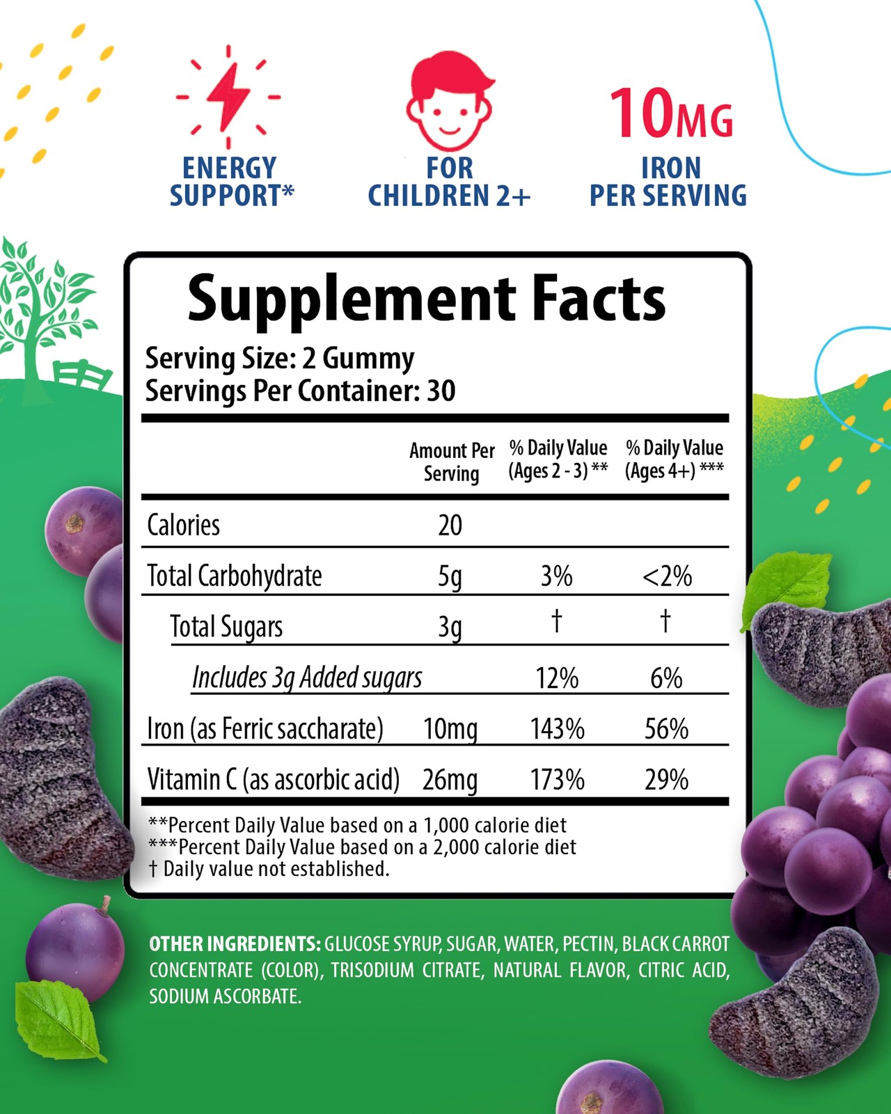 SUNNY SAM Iron Gummies for Kids & Teens – 10mg 60 Count (Pack of 1)