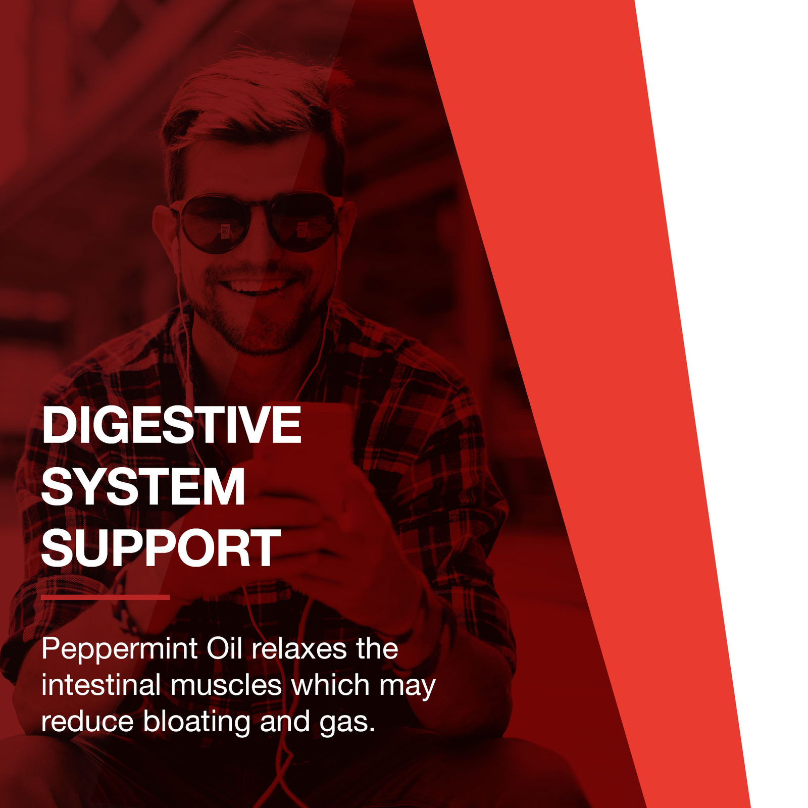 Protocol Peppermint Oil G.I. Digestive Support, Ginger & Fennel Oils 90 Softgels
