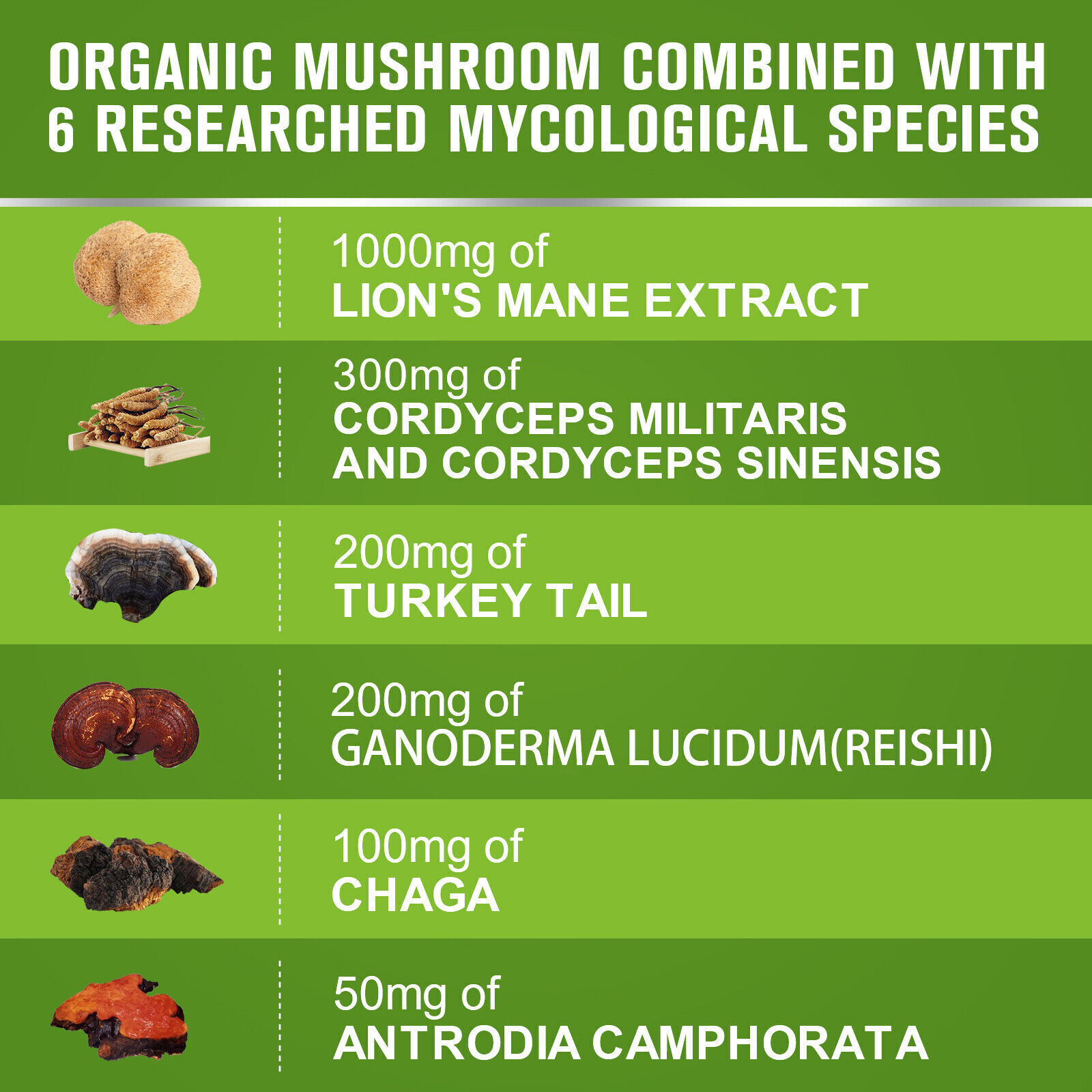 1000Mg Organic Lions Mane Mushroom Nootropic Brain Memory Focus Immune Support