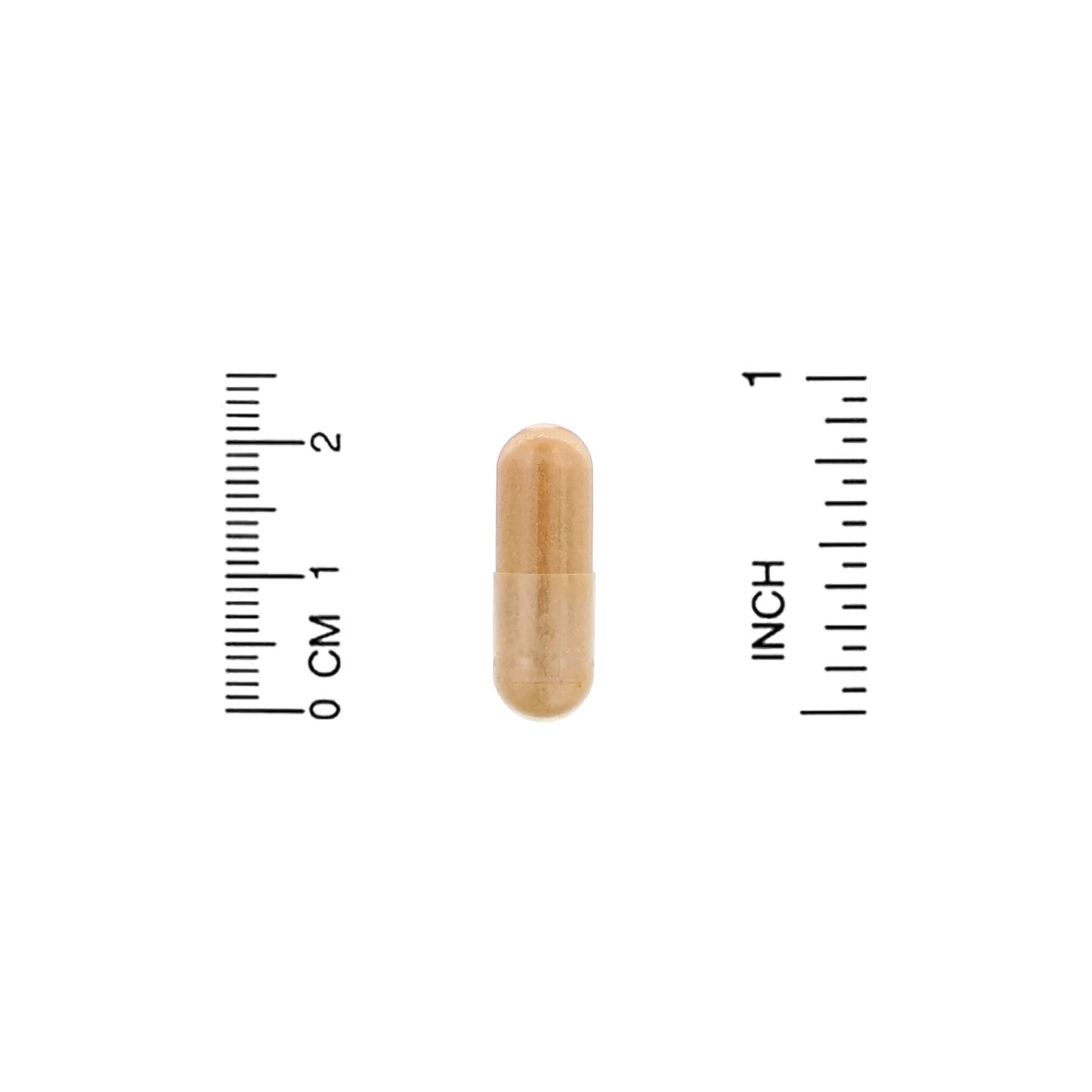 2 X Organic India, Ceylon Cinnamon, 90 Vegetarian Caps (325 mg per Capsule)