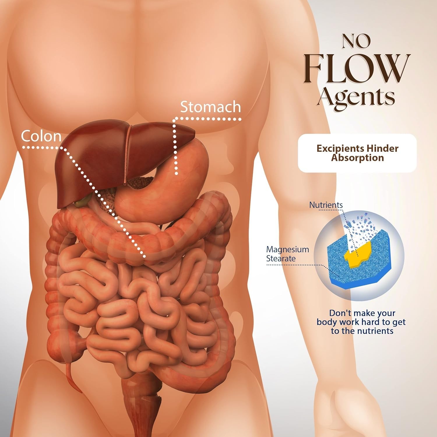 Intestine Support & Cleanse Kit with Green Tincture for Optimal Digestive Health