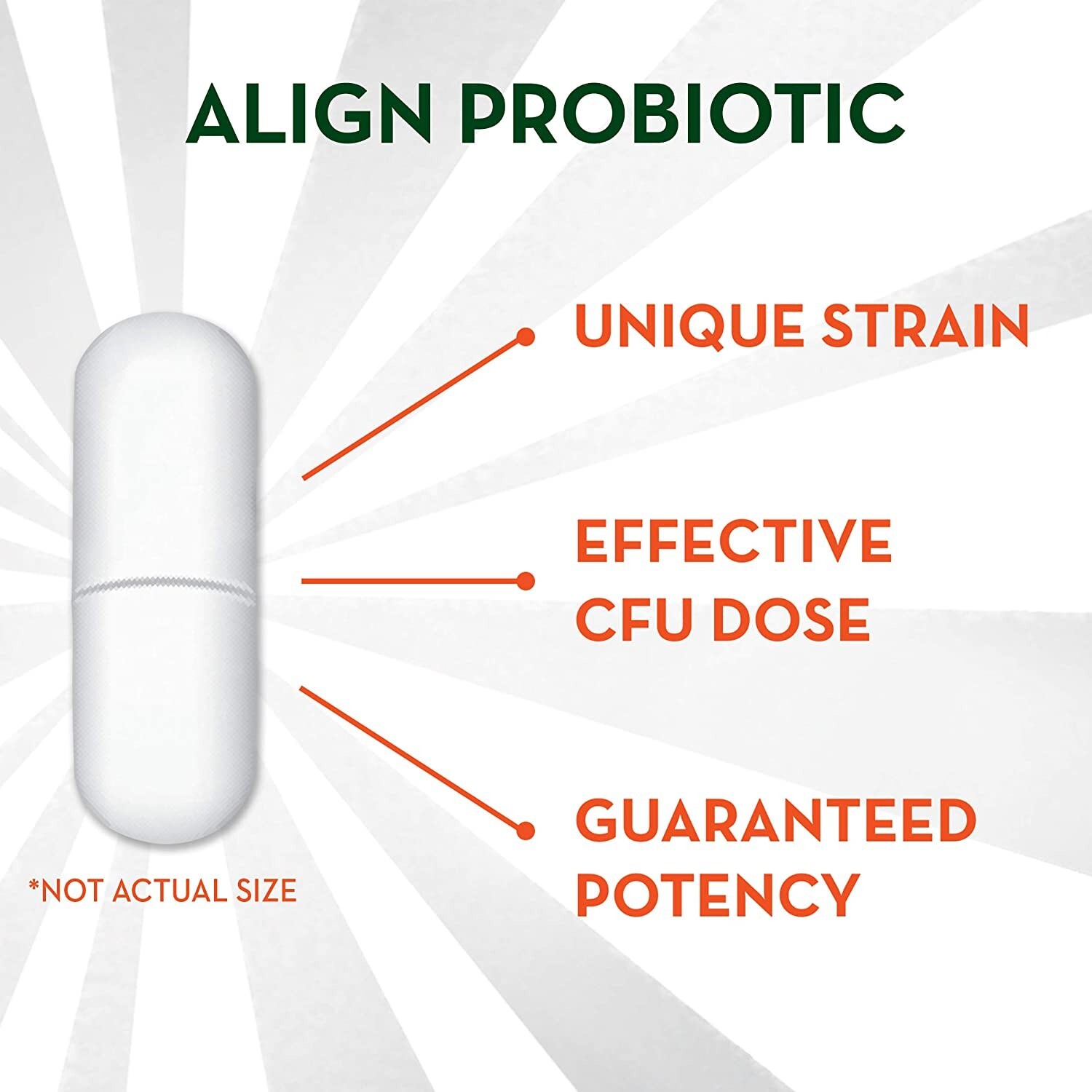 ALIGN PROBIOTIC – DIGESTIVE SUPPORT – 42 CAPSULES – EXP. 11/2026