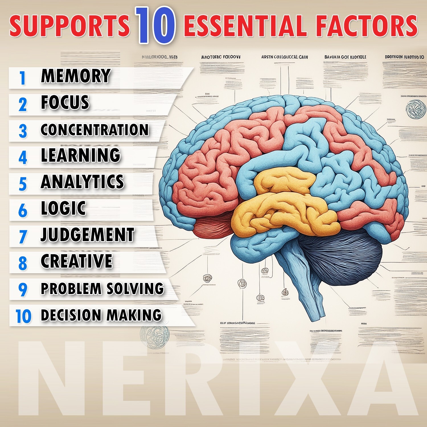 NERIXA Memory Brain Support – Memory, Mental clarity, concentration, focus