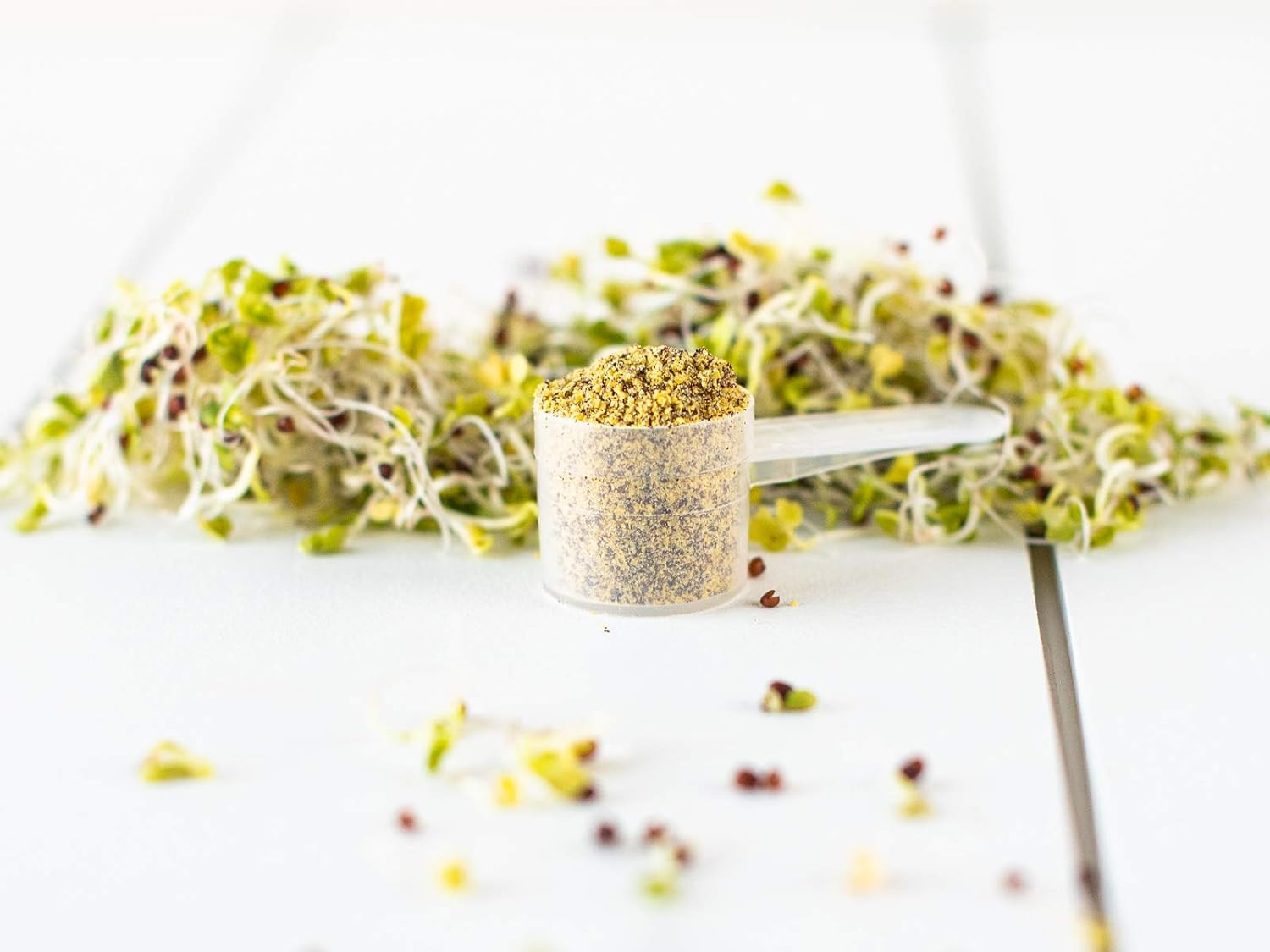 KOYAH – Organic USA Broccoli Sprout Powder (1 Scoop = 1/4 Cup Sprouts): 36 Servi