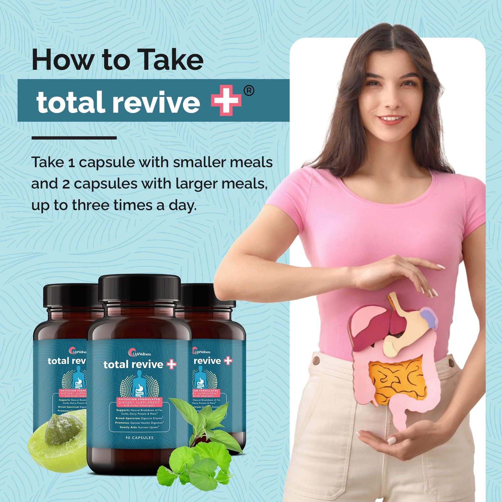 UpWellness Total Revive+ Digestive Enzymes Broad-Spectrum Gut Health Nutrient Ab