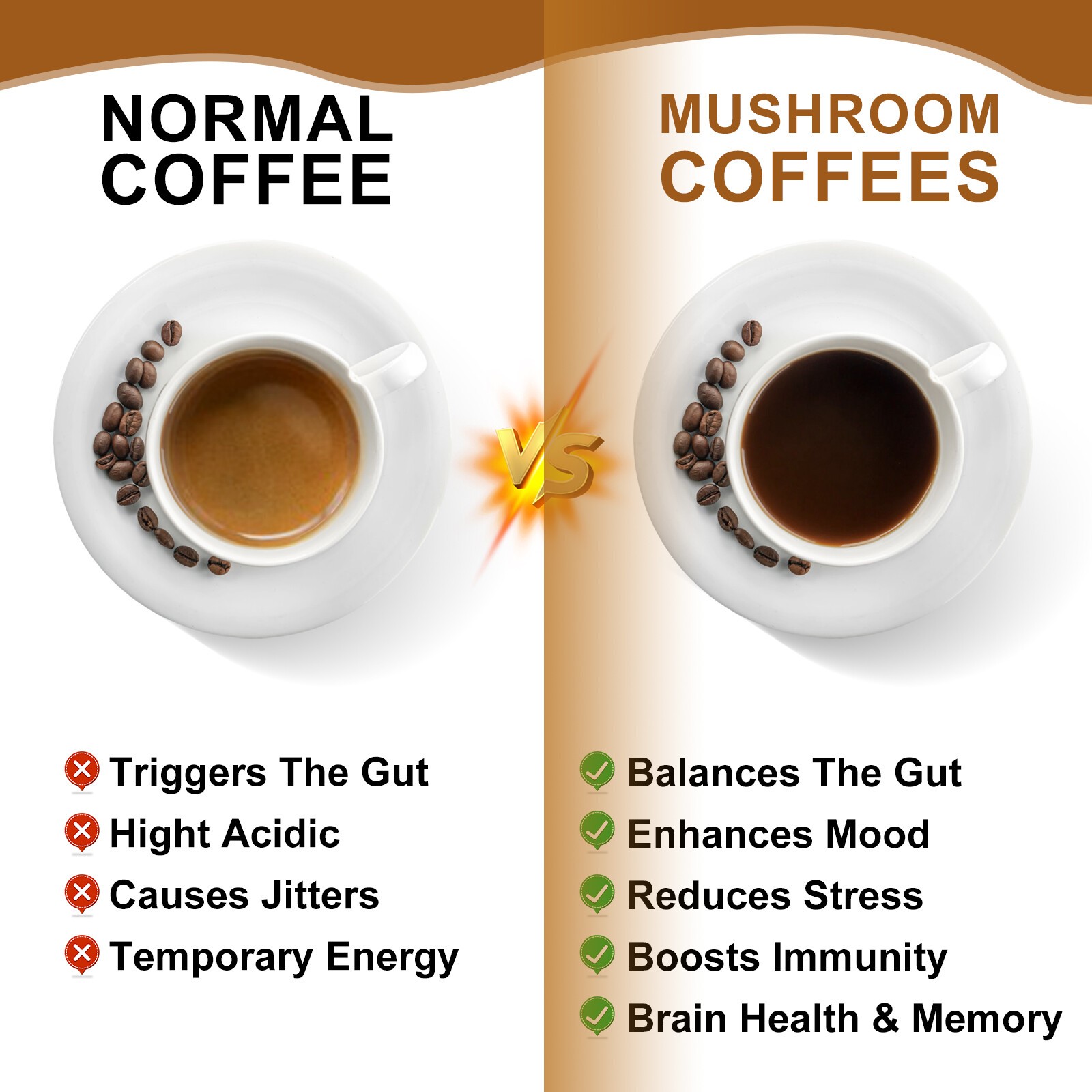 1x Mushroom Coffee Powder Lions Mane Reishi Immunity & Brain Booster 70g